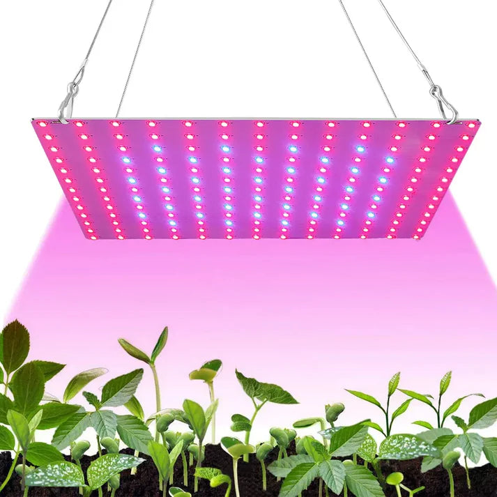 Unleash the Potential of LED Plant Grow Lights: A Gardener's Guide