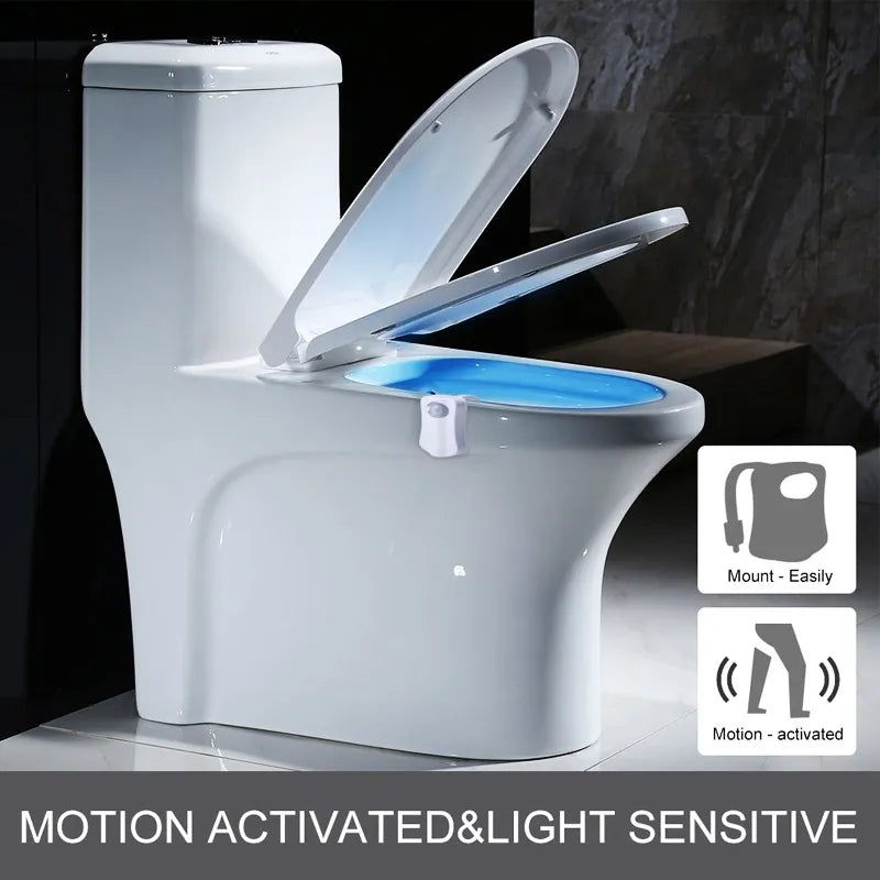 Toilet Seat Night Light