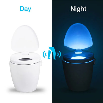 Toilet Seat Night Light