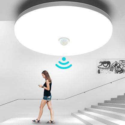 Motion Sensor Ceiling  Light