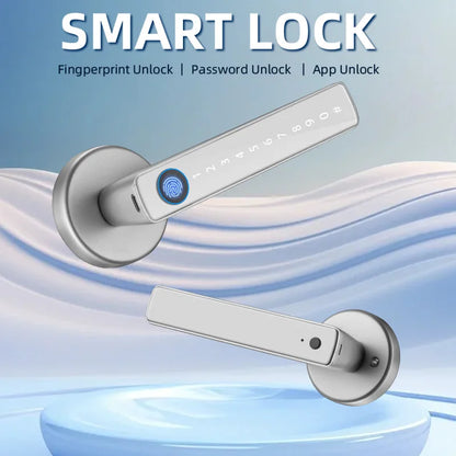 Smart Fingerprint Door Lock Handle With Key card