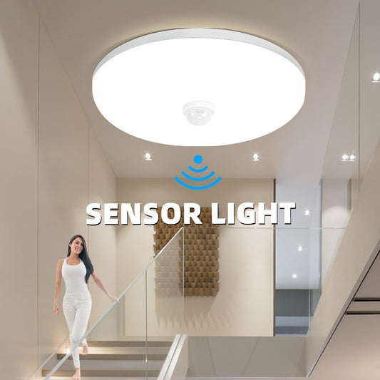 Motion Sensor Ceiling  Light