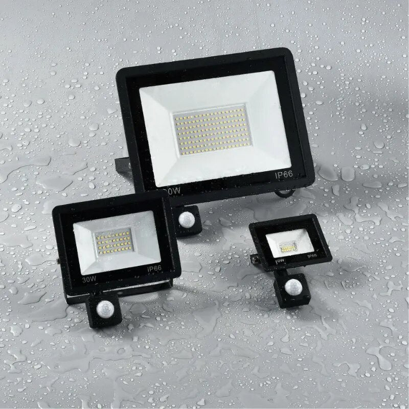 Motion Sensor LED Light - Royal Lights & Home Decor