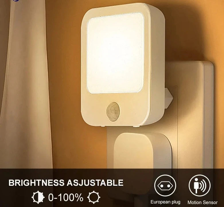 Night Light Motion Sensor With LED Light