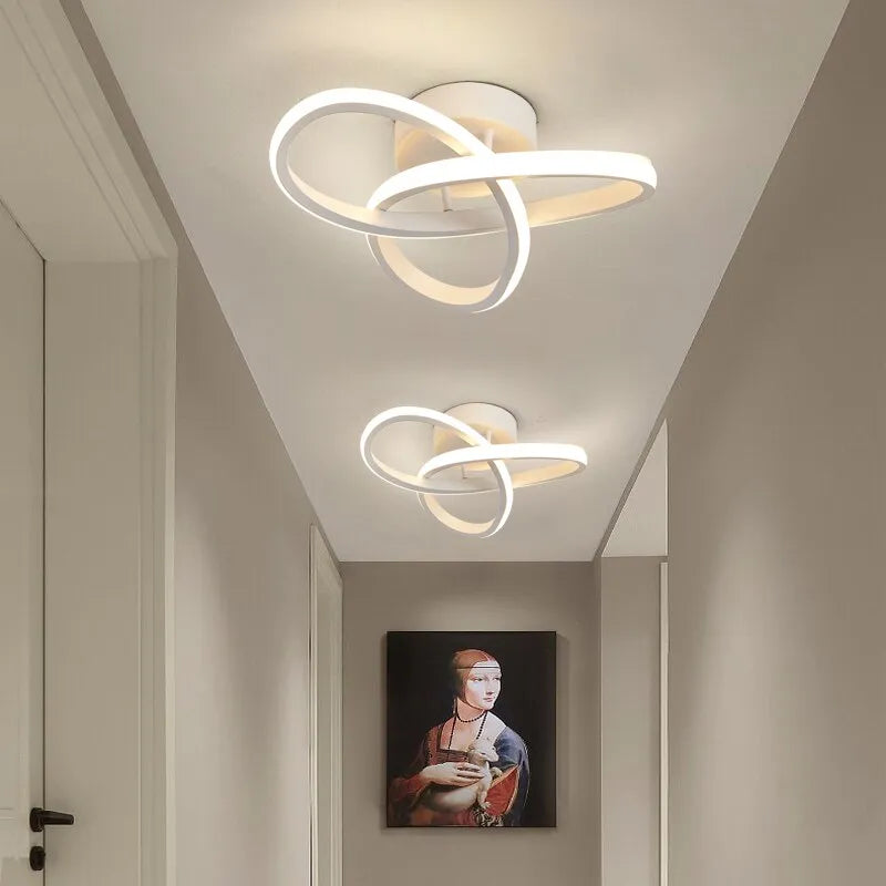 Modern Style Ceiling Lamp