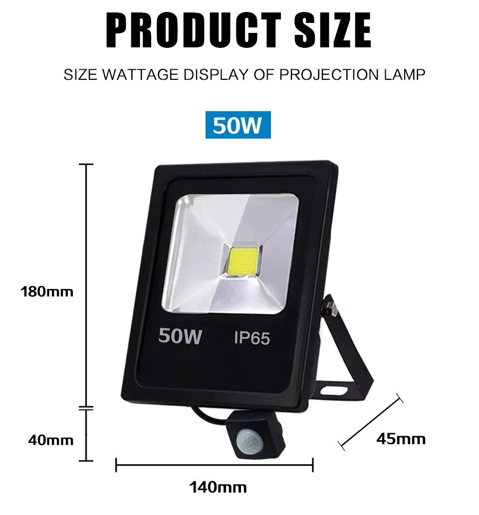 Motion Sensor LED Light