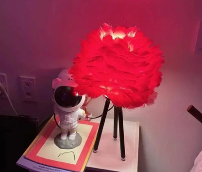 Modern Simple Feather LED Table Lamp