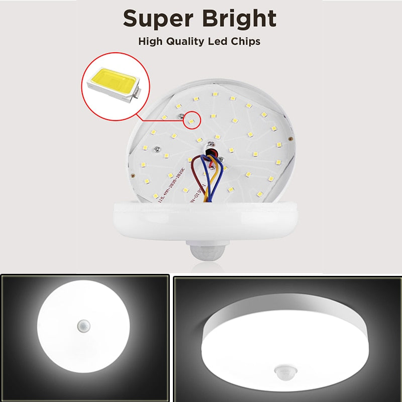 Motion Sensor Ceiling  Light