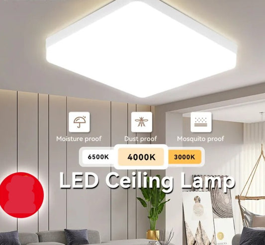 LED Ceiling Lamp