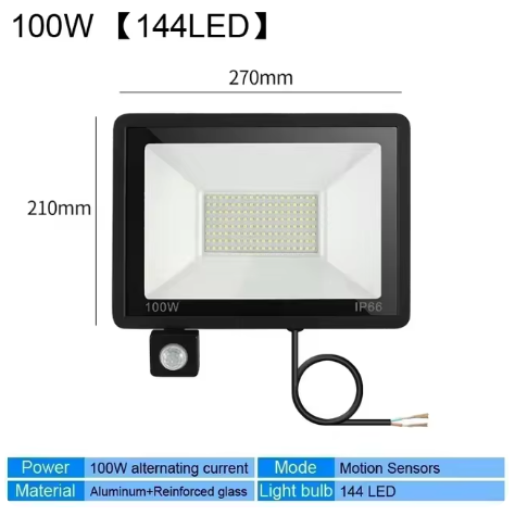 Motion Sensor LED Flood Light